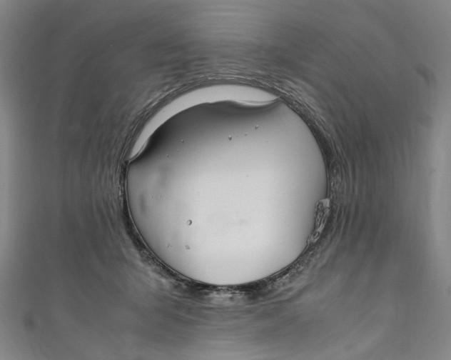 X0000111210415200907221155