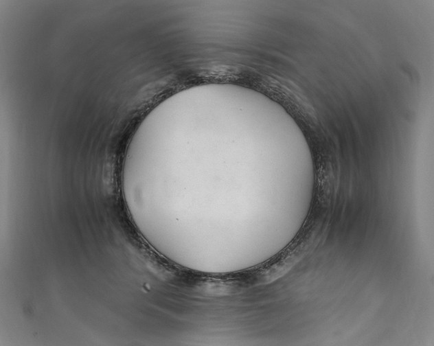 X0000111210416200907221155