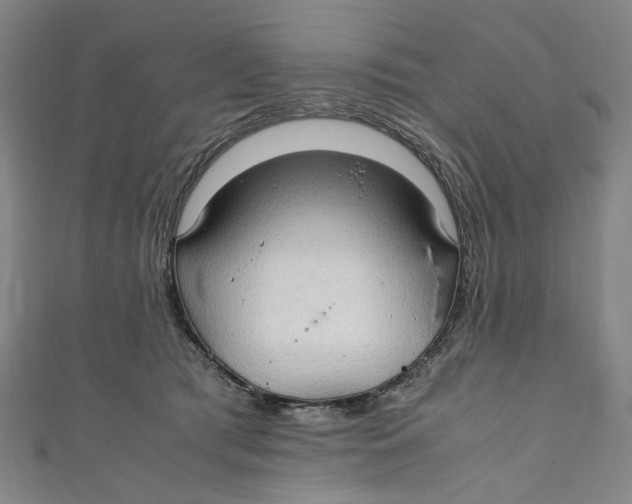 X0000111210417200907221155