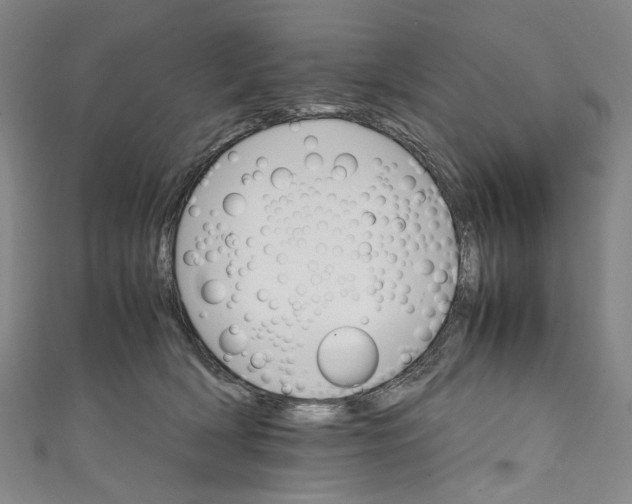 X0000111210418200907221155