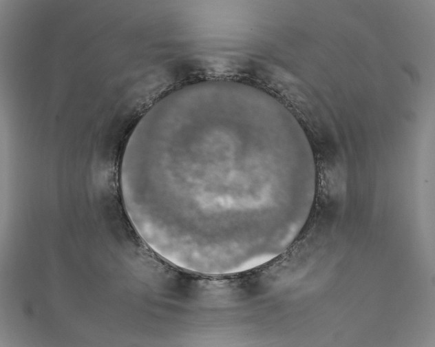 X0000111210419200907221155