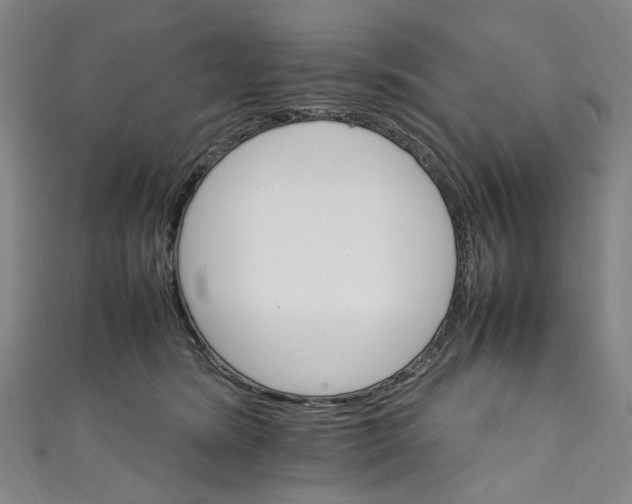 X0000111210420200907221155