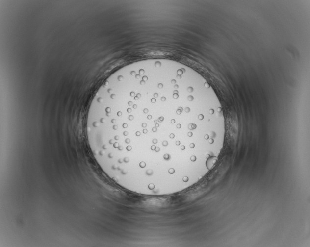 X0000111210422200907221155