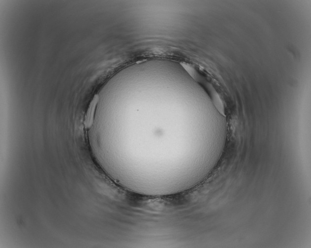 X0000111210423200907221155