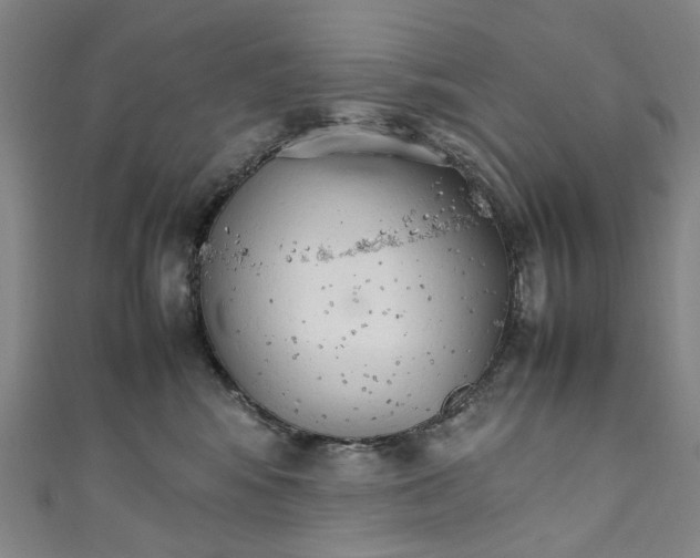 X0000111210424200907221155