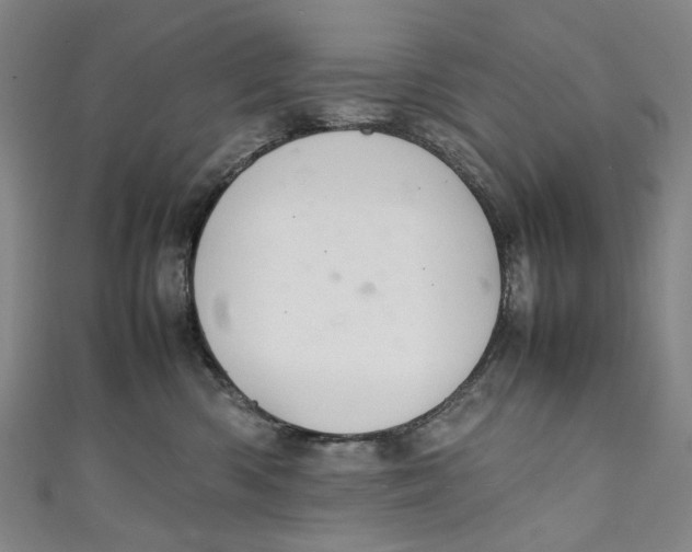 X0000111210426200907221155