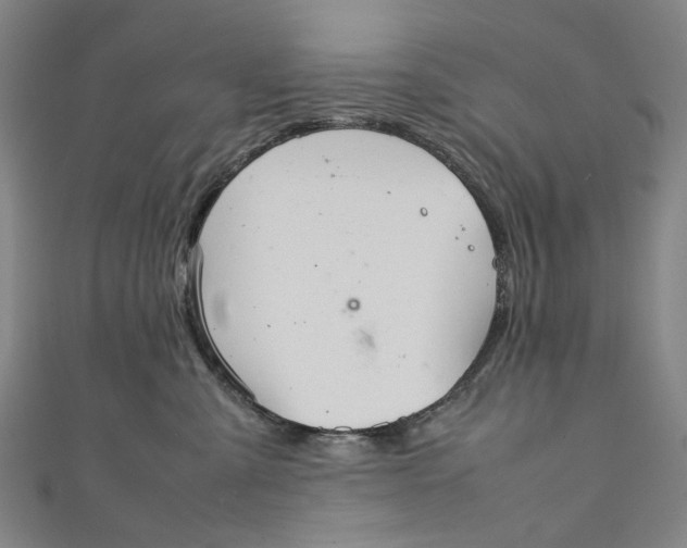 X0000111210427200907221155