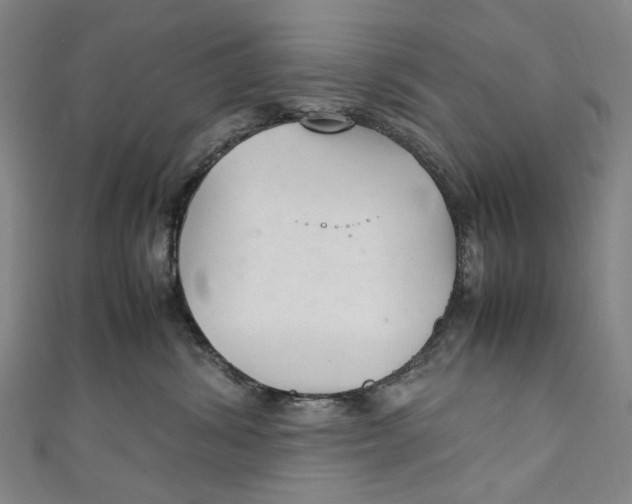 X0000111210428200907221155