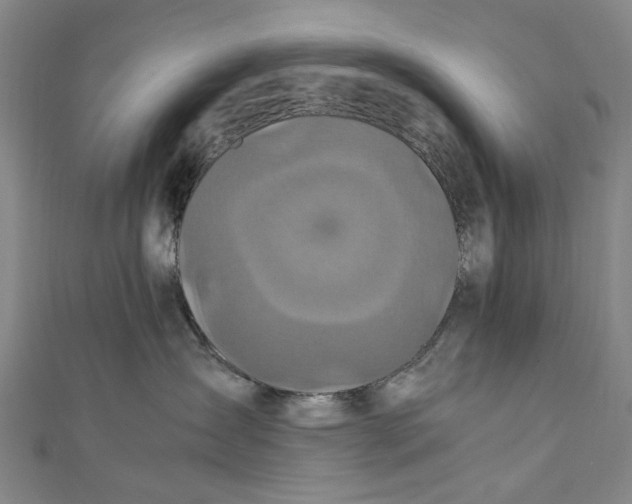 X0000111210431200907221155