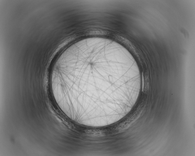 X0000111210435200907221154