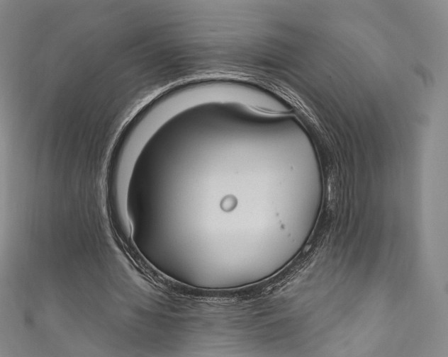 X0000111210436200907221154