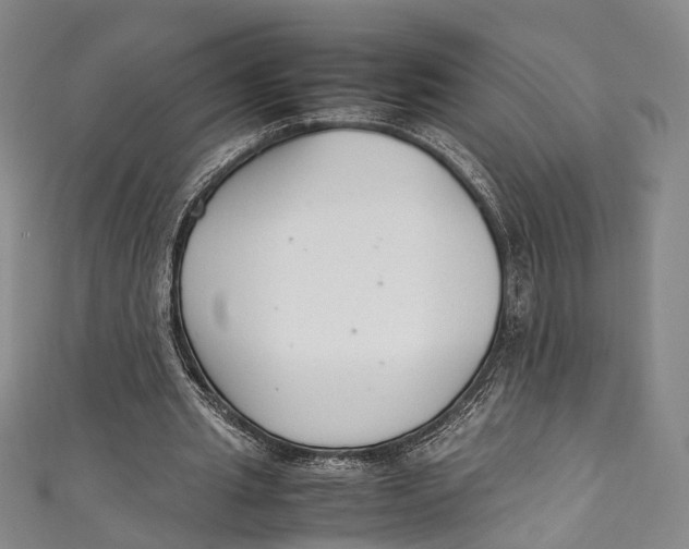 X0000111210437200907221154