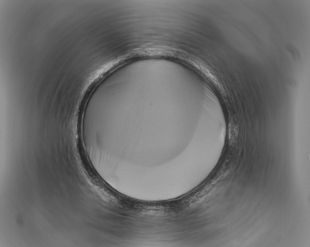 X0000111210438200907221154