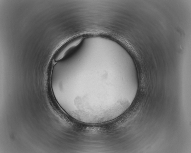 X0000111210440200907221154