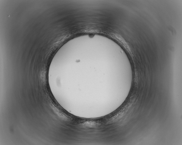 X0000111210441200907221154