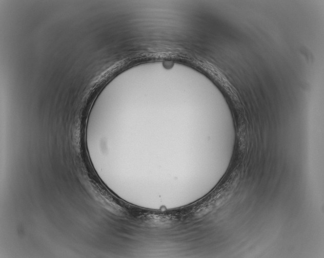 X0000111210442200907221154