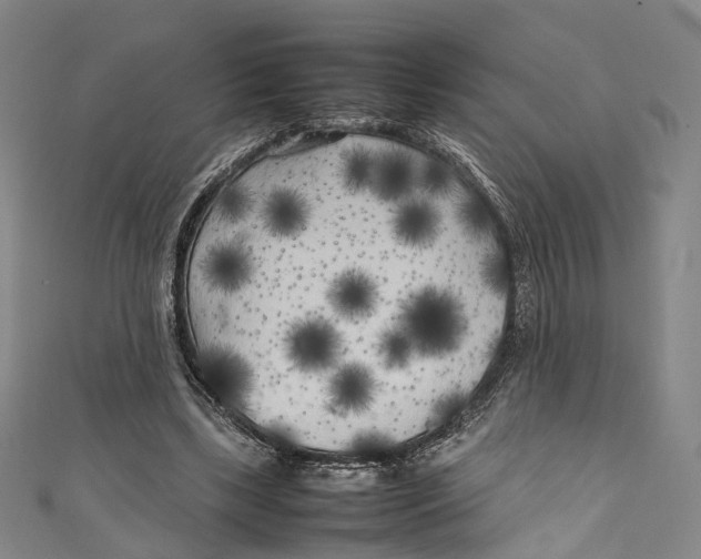 X0000111210443200907221154