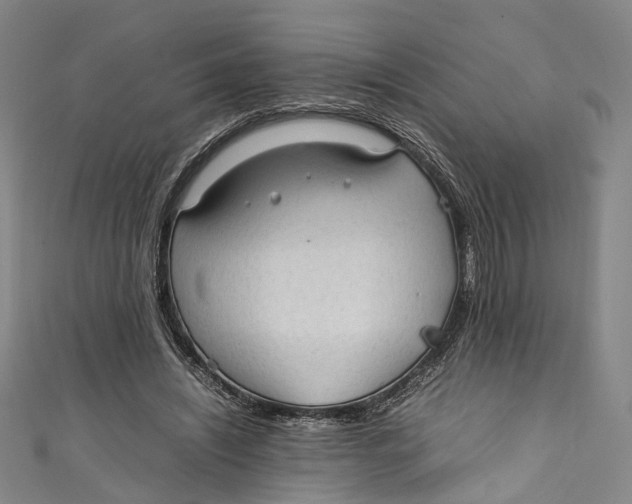 X0000111210444200907221154