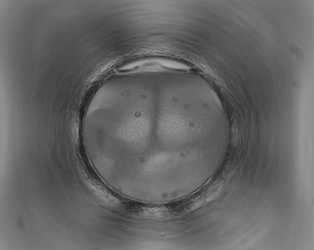 X0000111210446200907221154