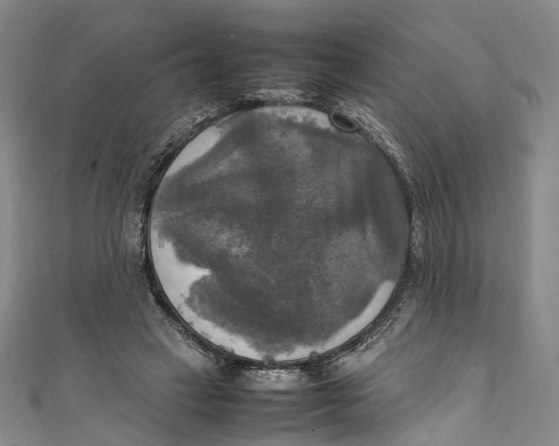 X0000111210449200907221154