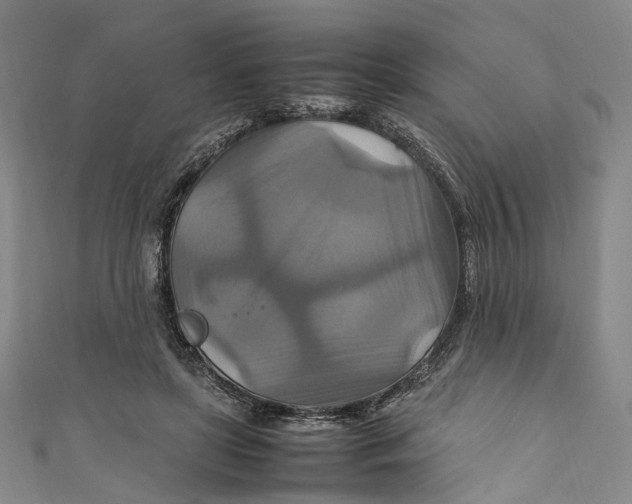 X0000111210451200907221154