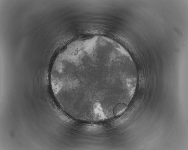 X0000111210453200907221154