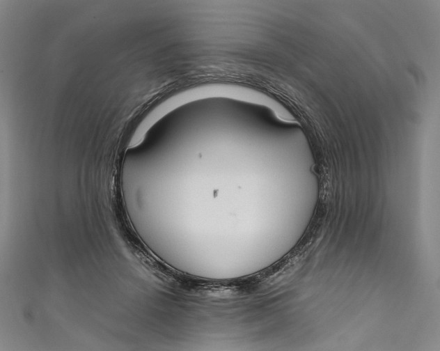 X0000111210456200907221154