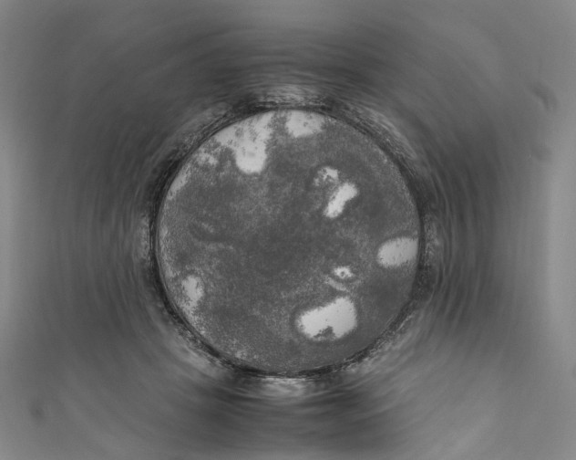 X0000111210457200907221154