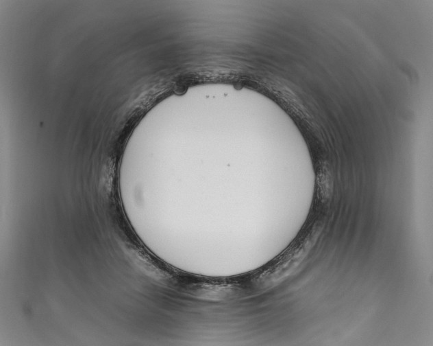 X0000111210458200907221154