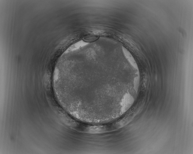 X0000111210461200907221154