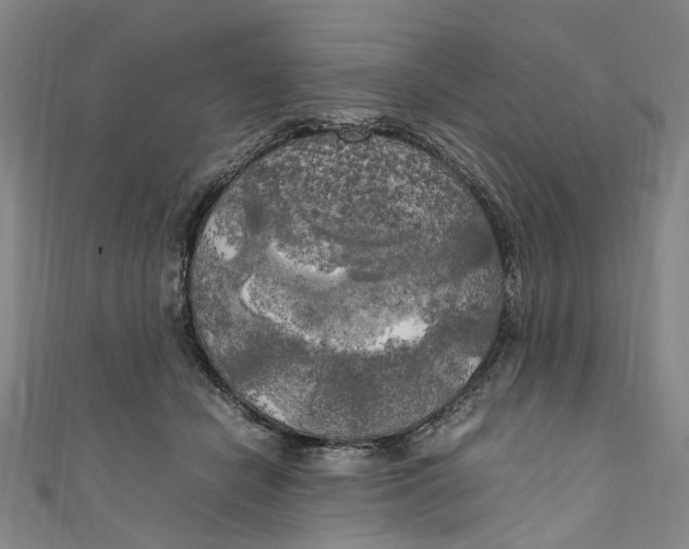 X0000111210462200907221154