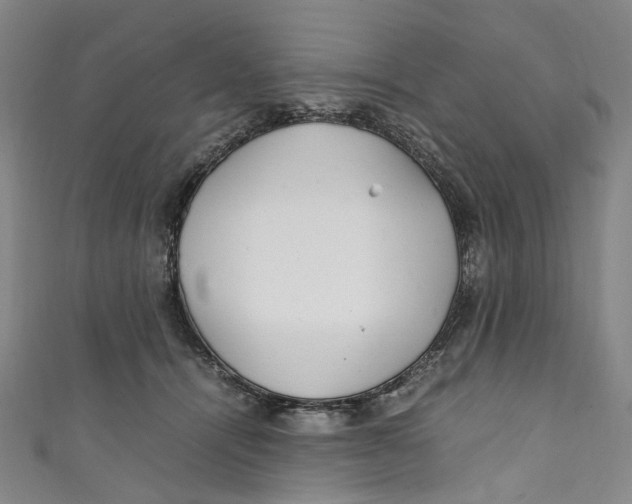 X0000111210464200907221154