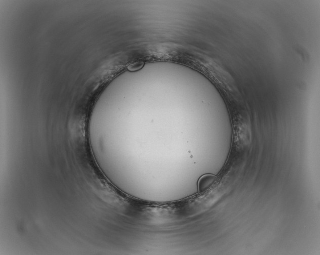 X0000111210466200907221154