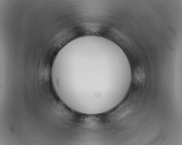 X0000111210468200907221154