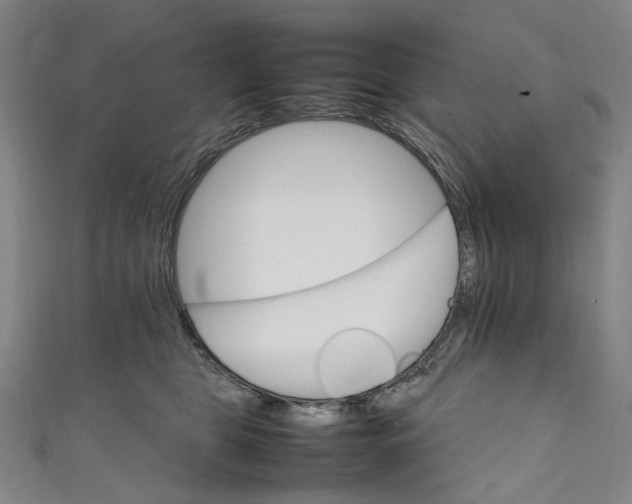 X0000111210469200907221154