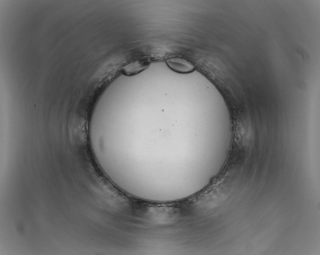 X0000111210470200907221154