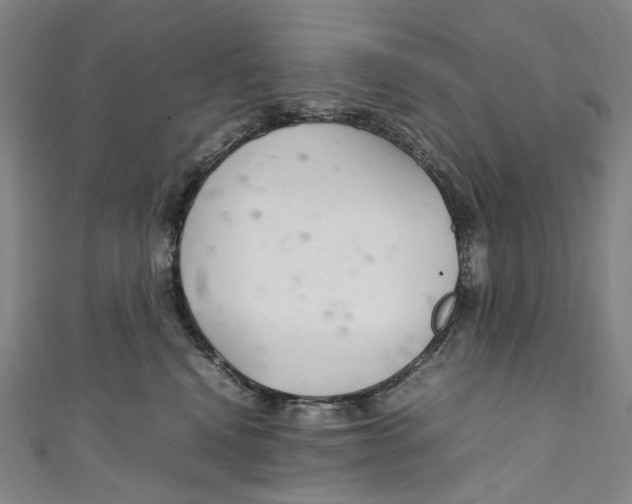 X0000111210472200907221155