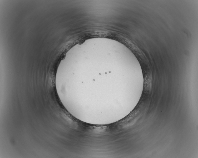 X0000111210474200907221155