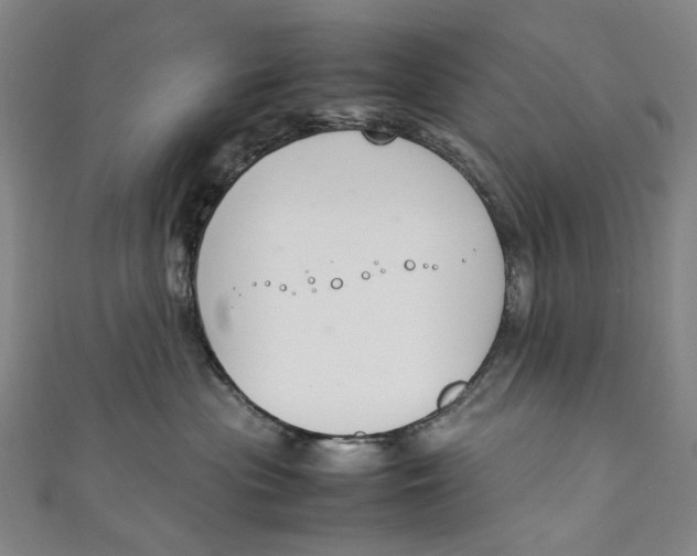 X0000111210477200907221155