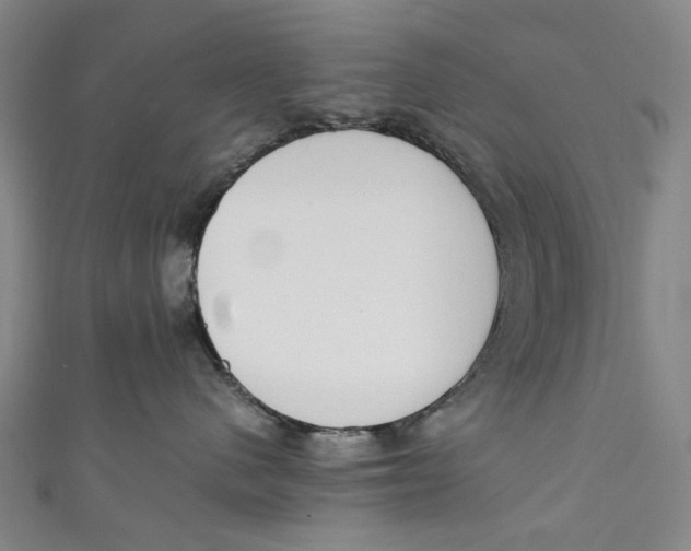 X0000111210480200907221155