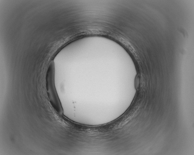 X0000111210481200907221154