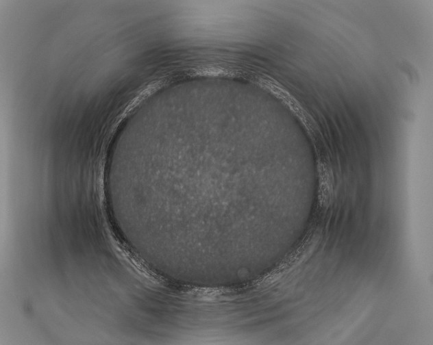 X0000111210482200907221154