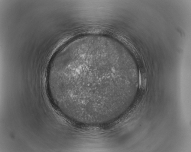 X0000111210483200907221154