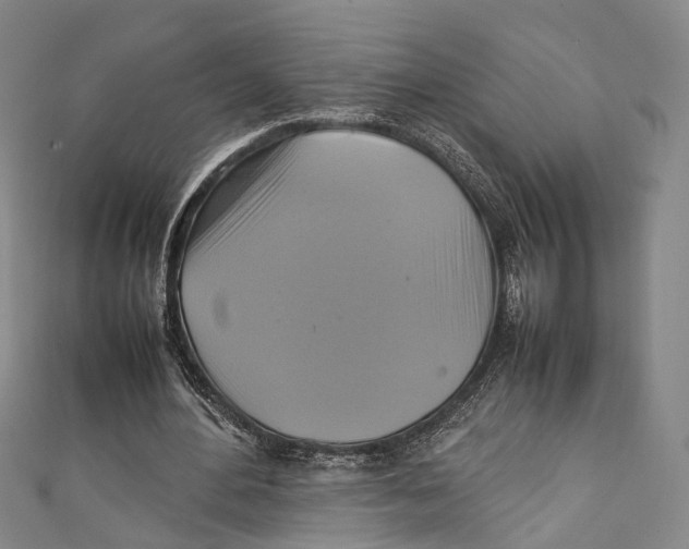 X0000111210484200907221154