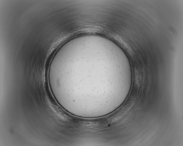 X0000111210486200907221154