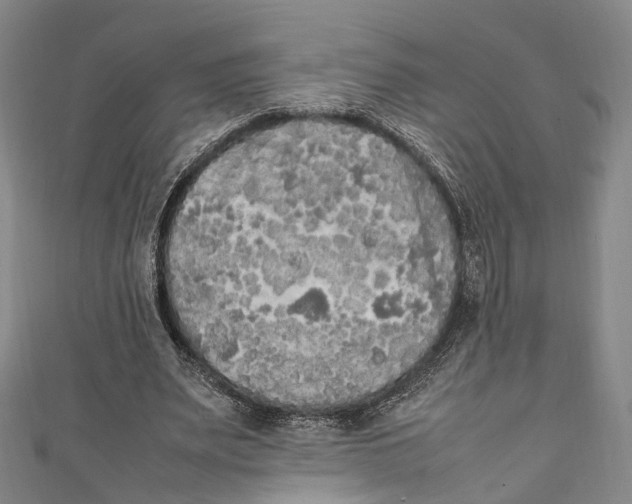 X0000111210487200907221154