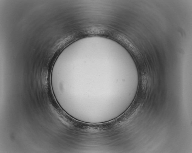 X0000111210490200907221154