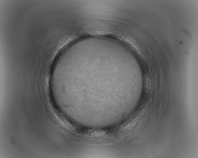 X0000111210491200907221154