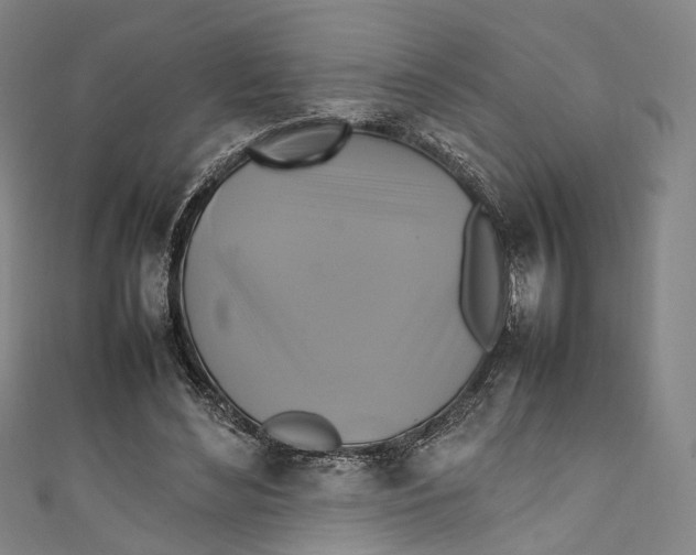 X0000111210492200907221154