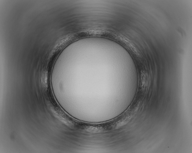 X0000111210494200907221154